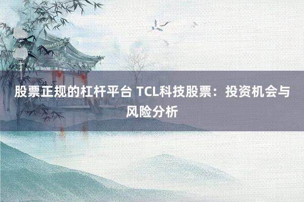 股票正规的杠杆平台 TCL科技股票：投资机会与风险分析