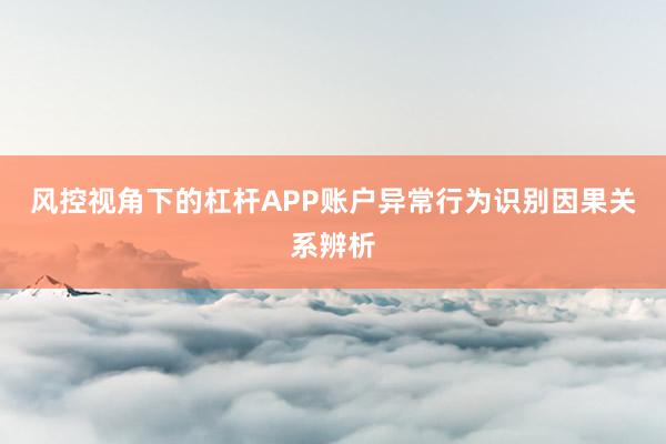 风控视角下的杠杆APP账户异常行为识别因果关系辨析
