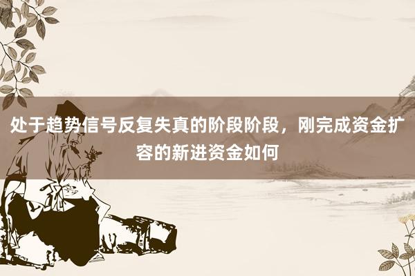 处于趋势信号反复失真的阶段阶段，刚完成资金扩容的新进资金如何