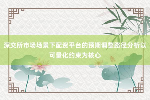 深交所市场场景下配资平台的预期调整路径分析以可量化约束为核心