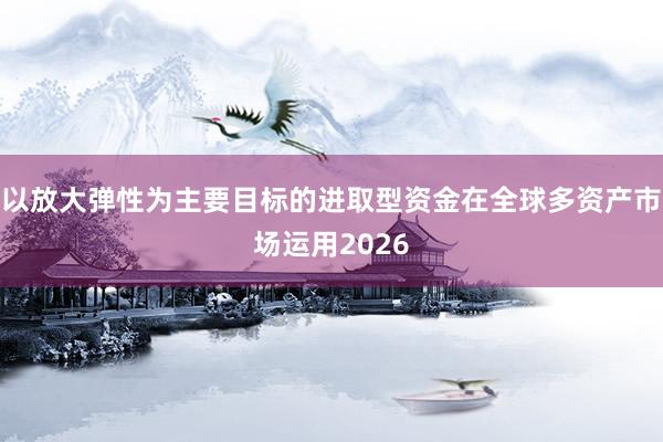 以放大弹性为主要目标的进取型资金在全球多资产市场运用2026