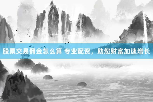 股票交易佣金怎么算 专业配资，助您财富加速增长