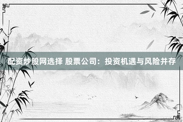 配资炒股网选择 股票公司：投资机遇与风险并存